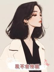 風不會停留